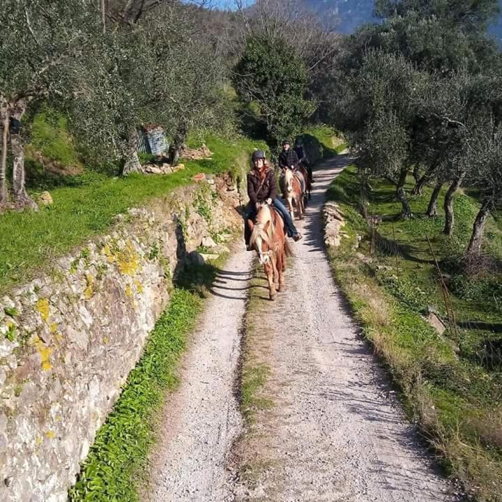 Villamorosa Calci Buitenkant foto